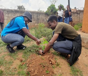 Young Black people planting a tree seedling